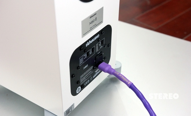Dynaudio xeo 6 2