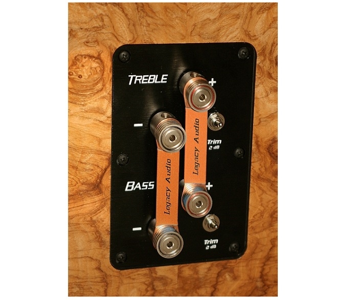 Legacy Audio Focus SE 5