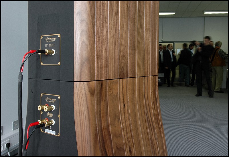 loa Chario Academy Serendipity can canh