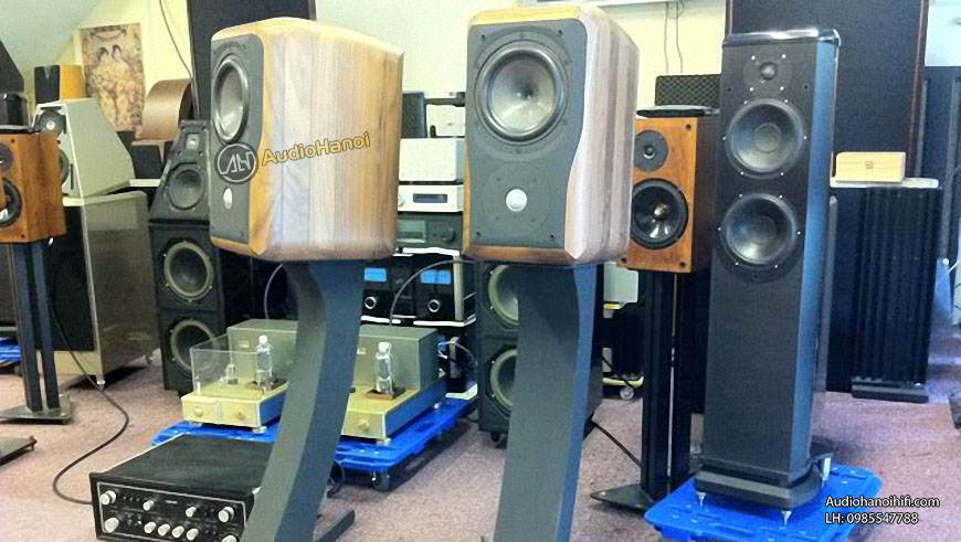 Loa Chario Academy Sonnet