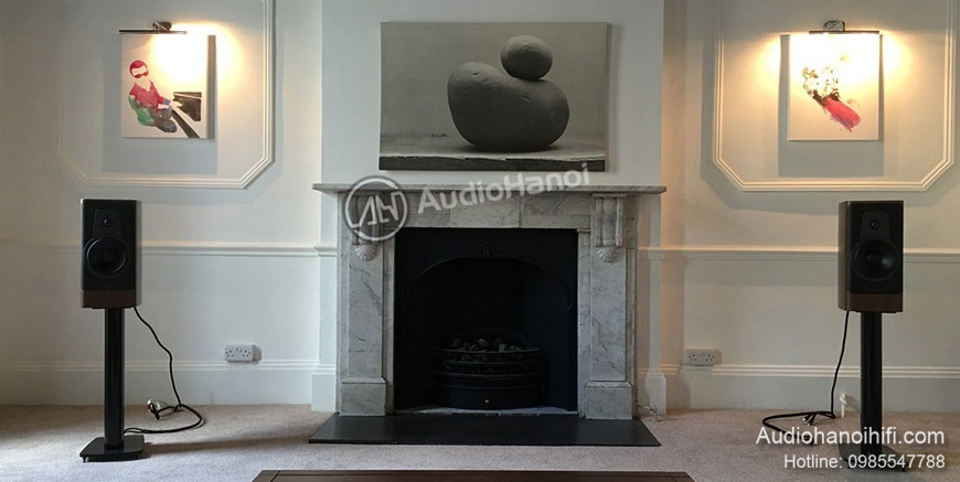 Loa Dynaudio Contour 20 chuan