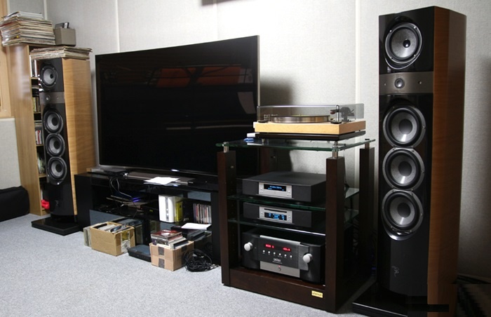 Loa Focal Electra 1038