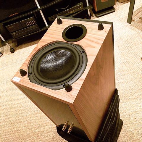 Loa Chario Studio 1016T