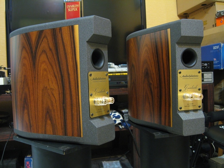 Loa AudioSolutions Guimbarde mat sau