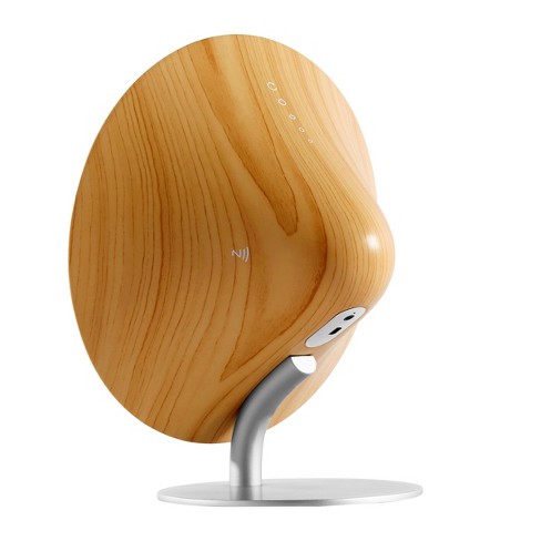 Loa TIC Anaklia mat sau