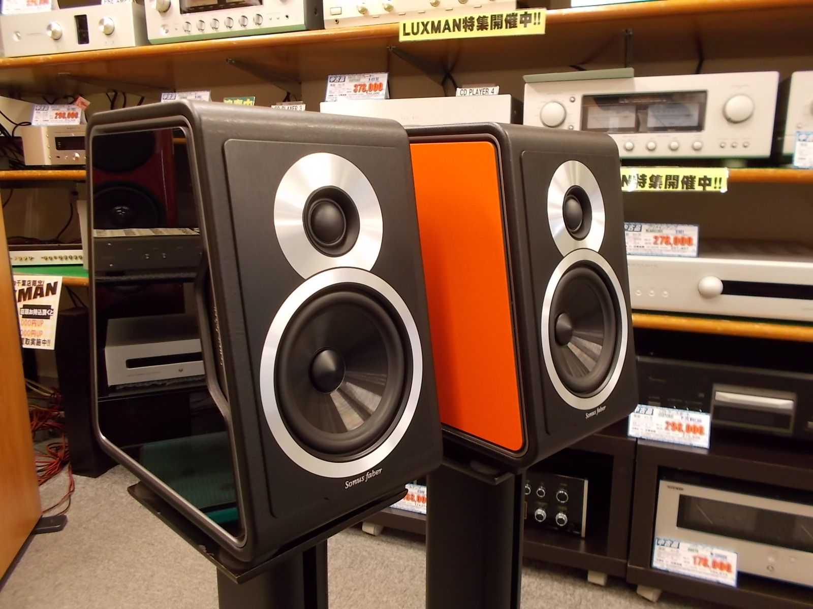 loa Sonus Faber Chameleon B tot