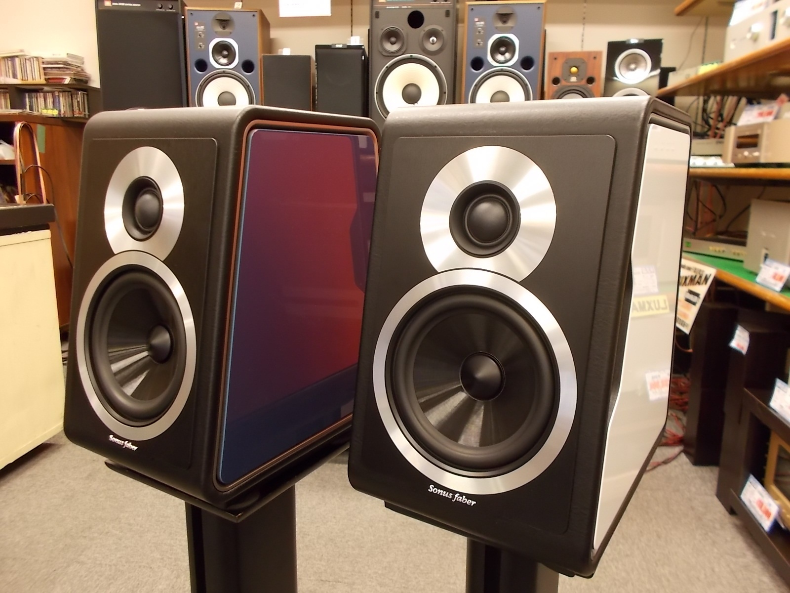 loa Sonus Faber Chameleon B chat