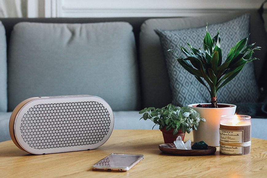 Loa dali katch mau trang