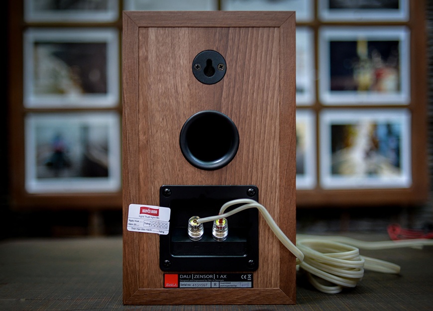 loa Dali Zensor 1 AX mat sau