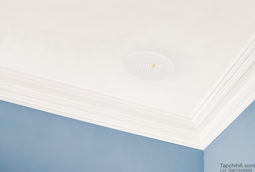 Dong loa elipson Architect IN-IC