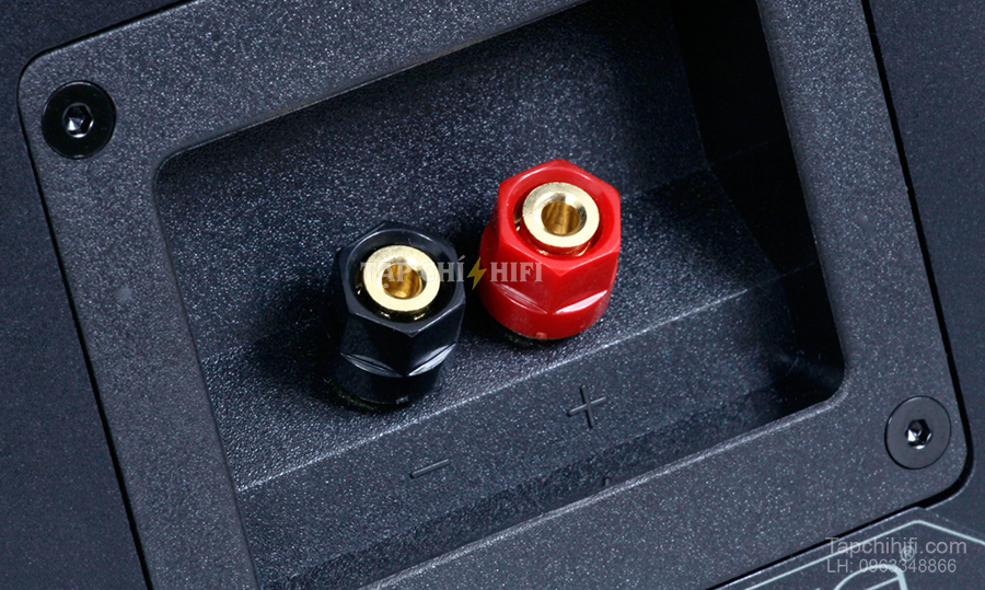 Loa Emotiva BasX SAT chat