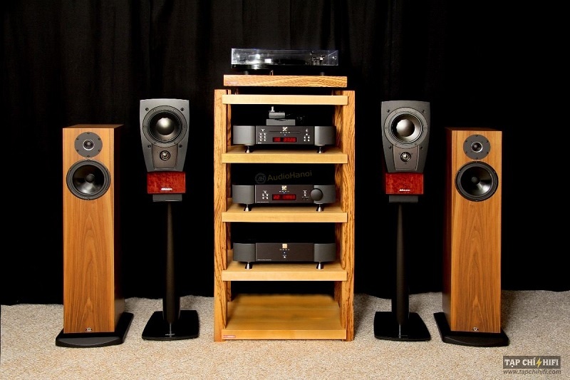 Loa Dynaudio Confidence C1 Platinum dep