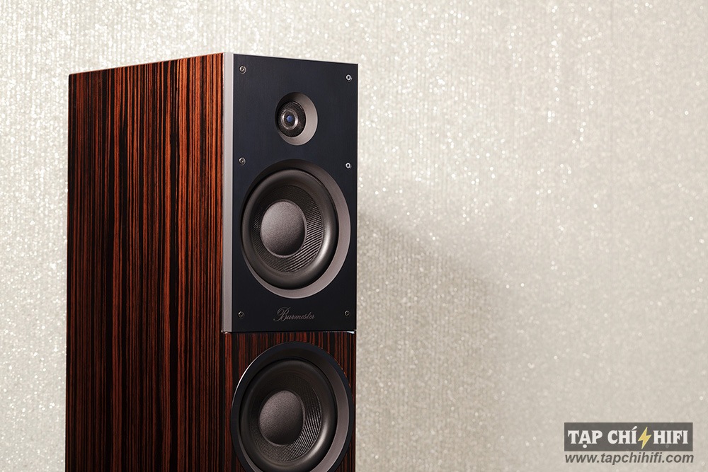 Loa Burmester Audiosystem B18 dep