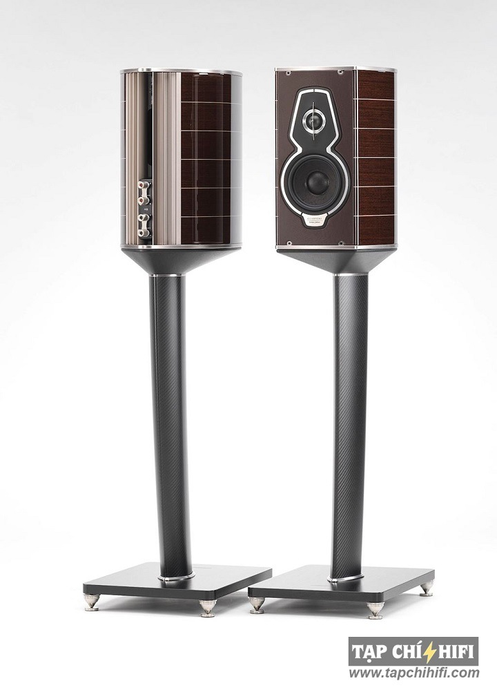 Loa sonus faber Guarneri Homage Tradition tot