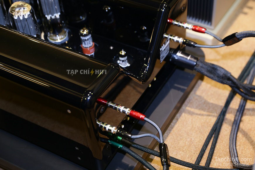 Ampli Viva Audio Solistino chat