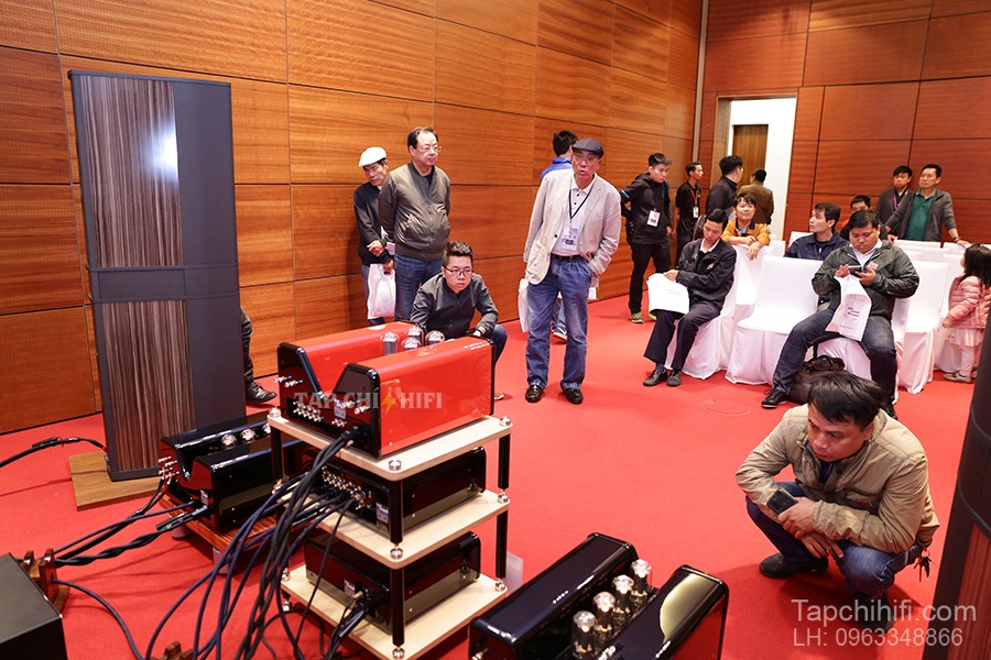 Ampli Viva Audio Solista hay