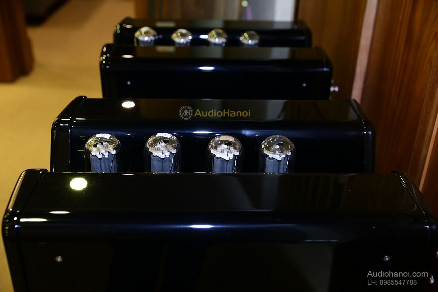 Ampli Viva Audio Aurora tot