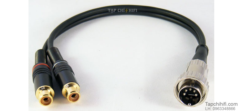 jack DIN nhieu chan Naim chuan