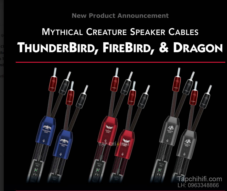 Day loa AudioQuest Dragon chuan