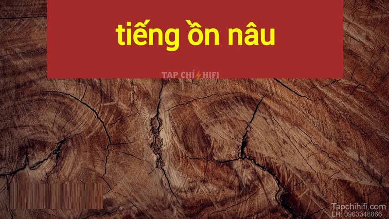 Mau sac cua tieng on tot