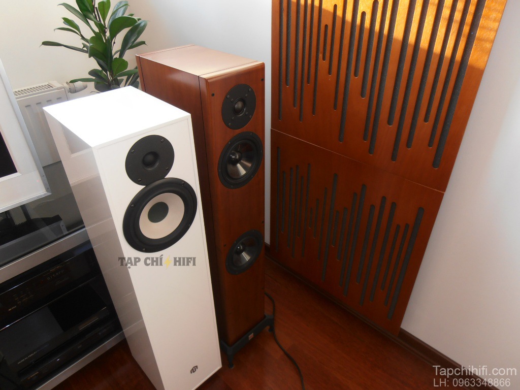 Loa Pylon Audio Pearl 20 tot