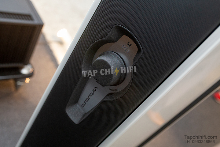 Loa AudioSolutions Virtuoso M mat sau tapchihifi