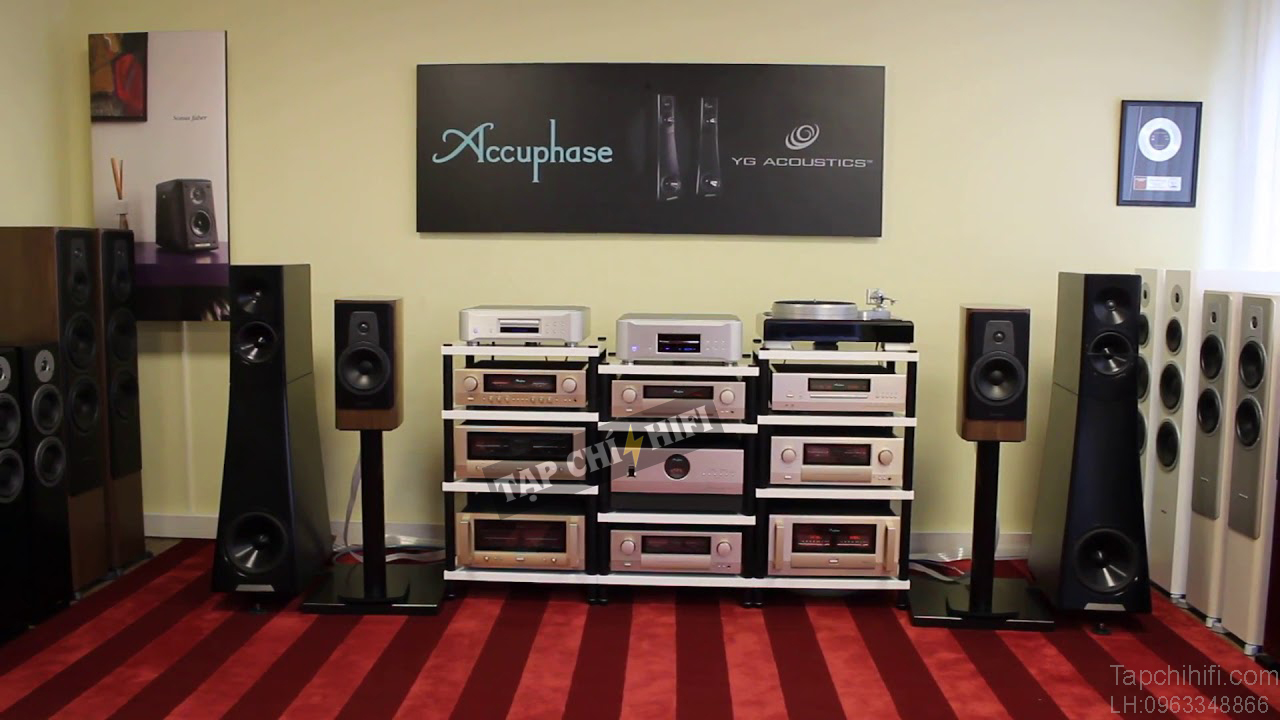 ampli Accuphase E 650 ghep