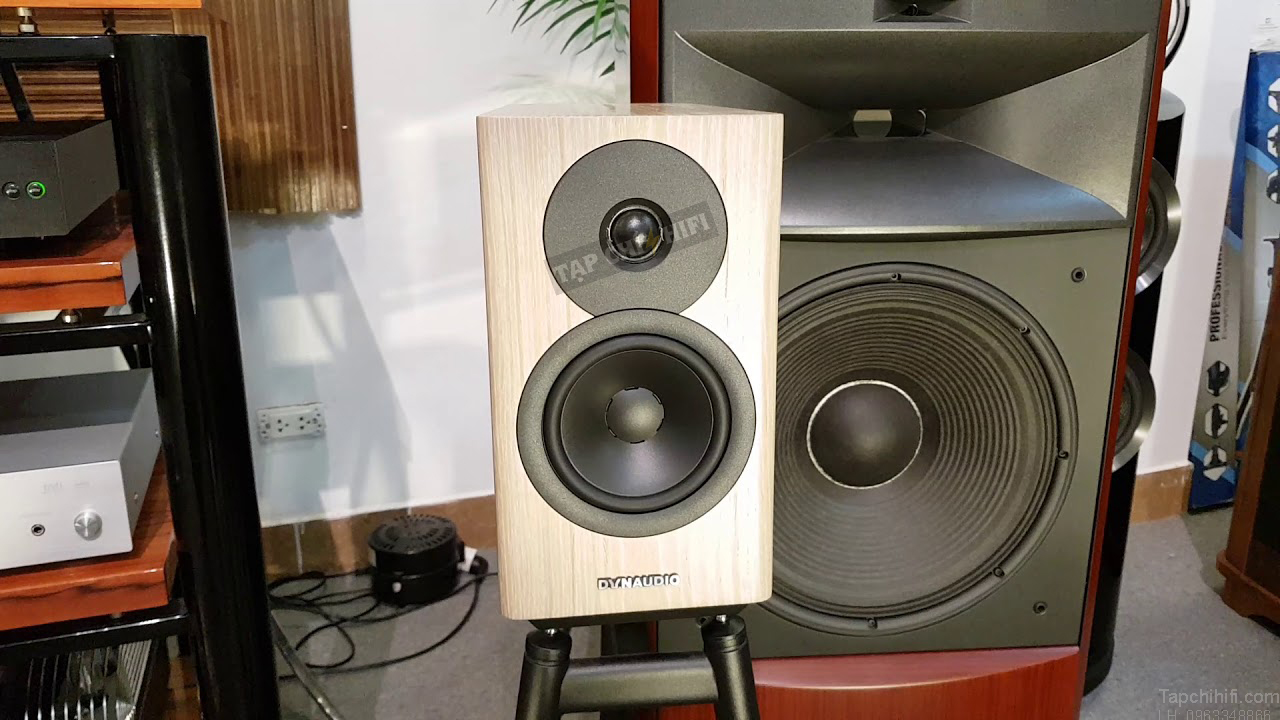 loa Dynaudio Evoke 10 hay 