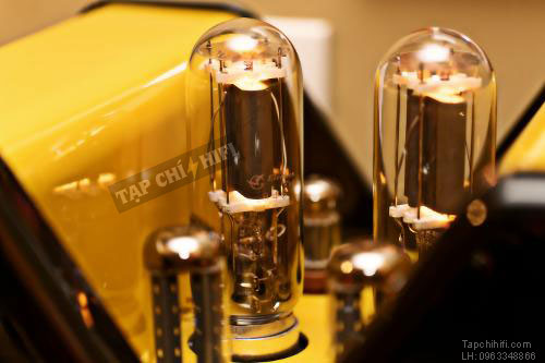 Ampli Viva Audio Egoista 845 chi tiet 