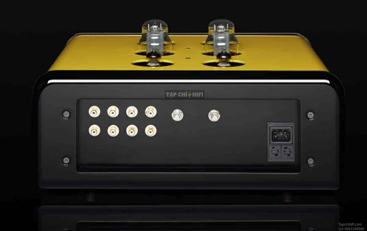 ampli viva egoista 2a3 mat sau