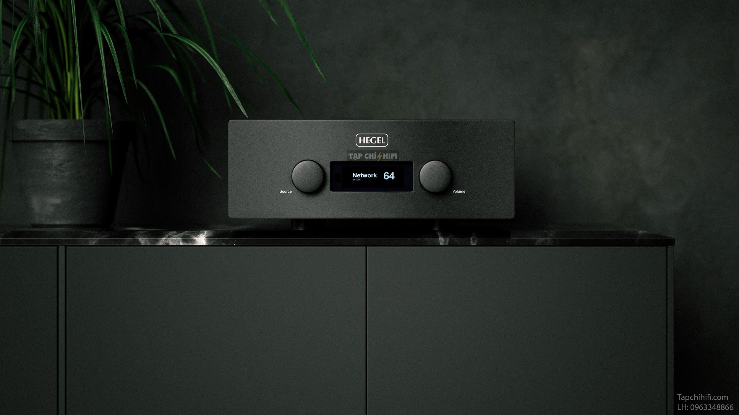 ampli hegel h590 dep 
