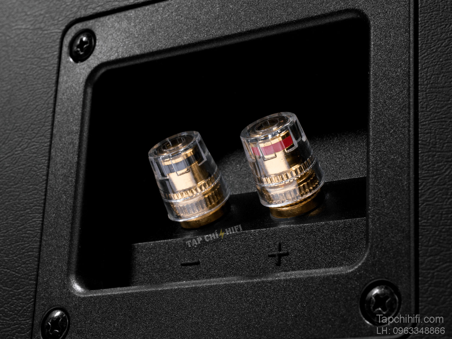 loa emotiva t zero chi tiet 