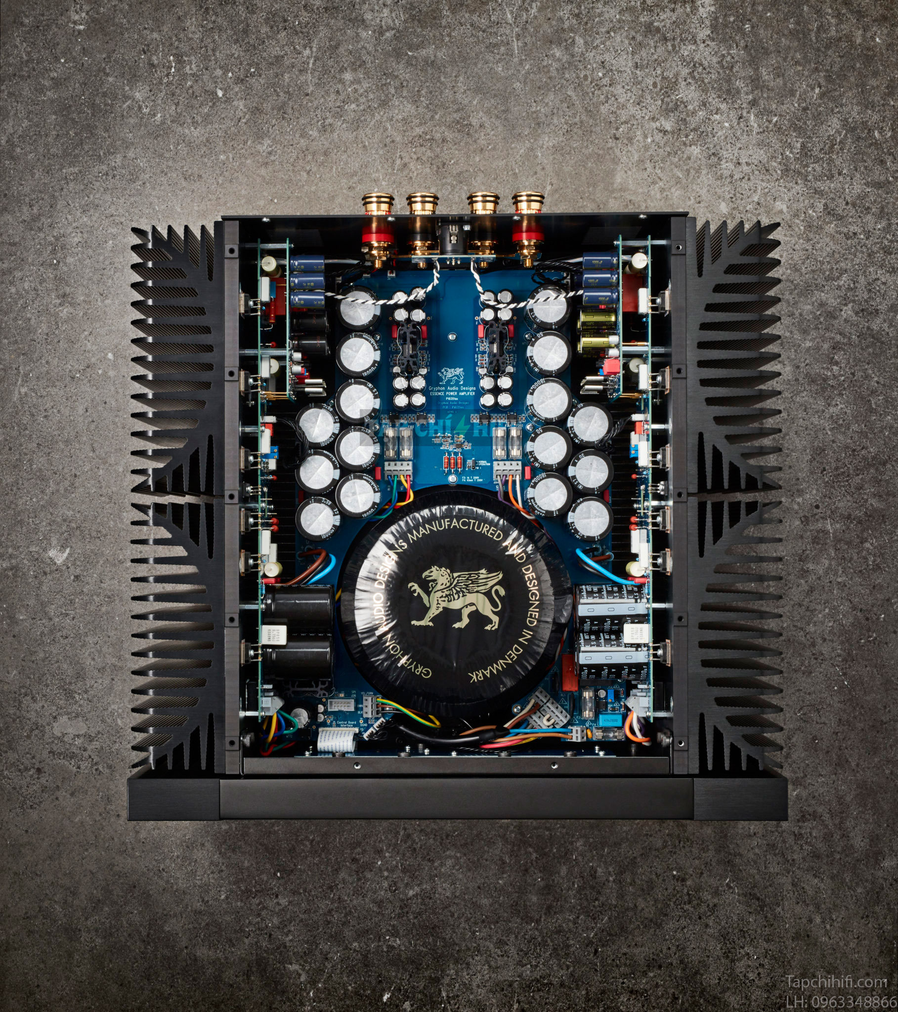 preampli Gryphon Essence