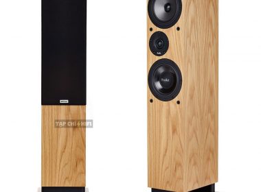 lao proac response dt8