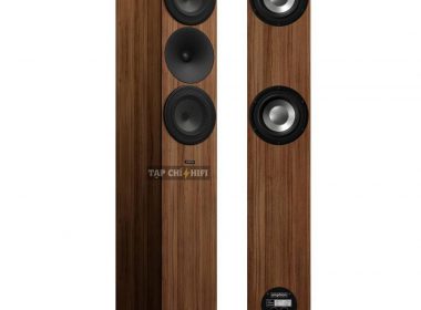 Amphion-Argon-7LS walnut