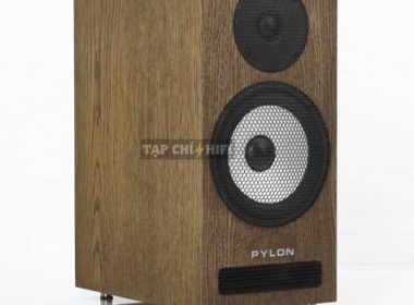 loa pylon audio ruby monitor