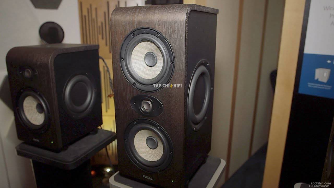 loa focal shape Twin hay 