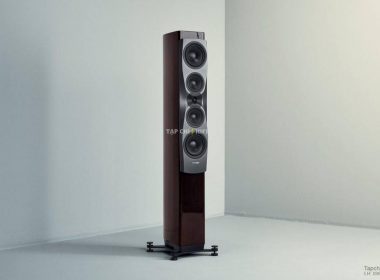 loa dynaudio confidence 50 chat