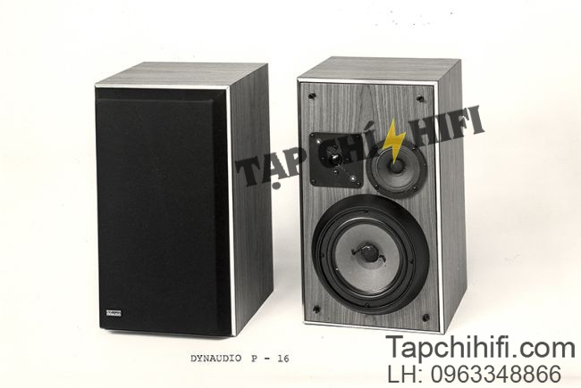 loa dynaudio p16