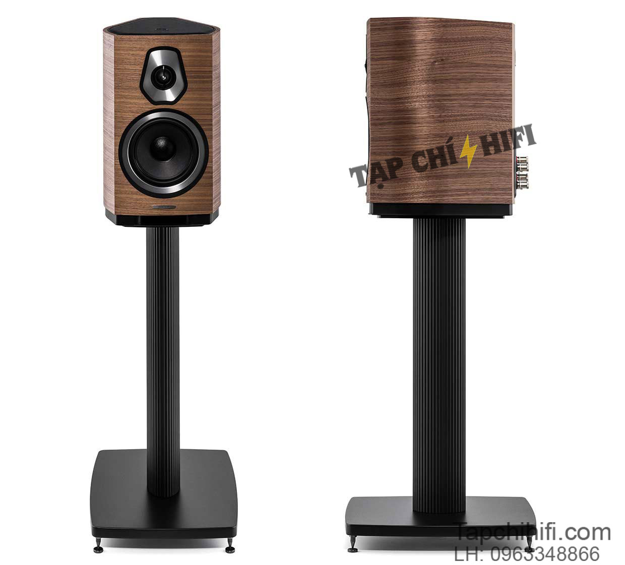 loa sonus faber sonetto ii