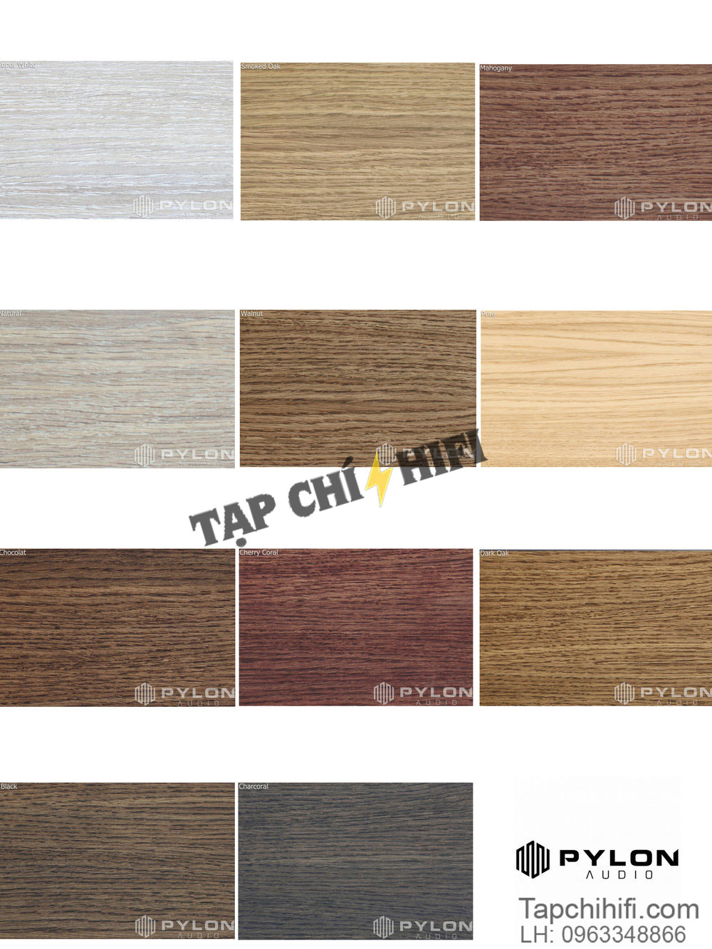 loa pylon ruby 30 bang mau 