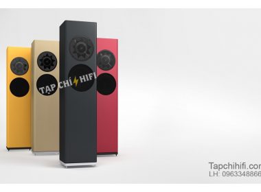 loa manger p1 dai dien