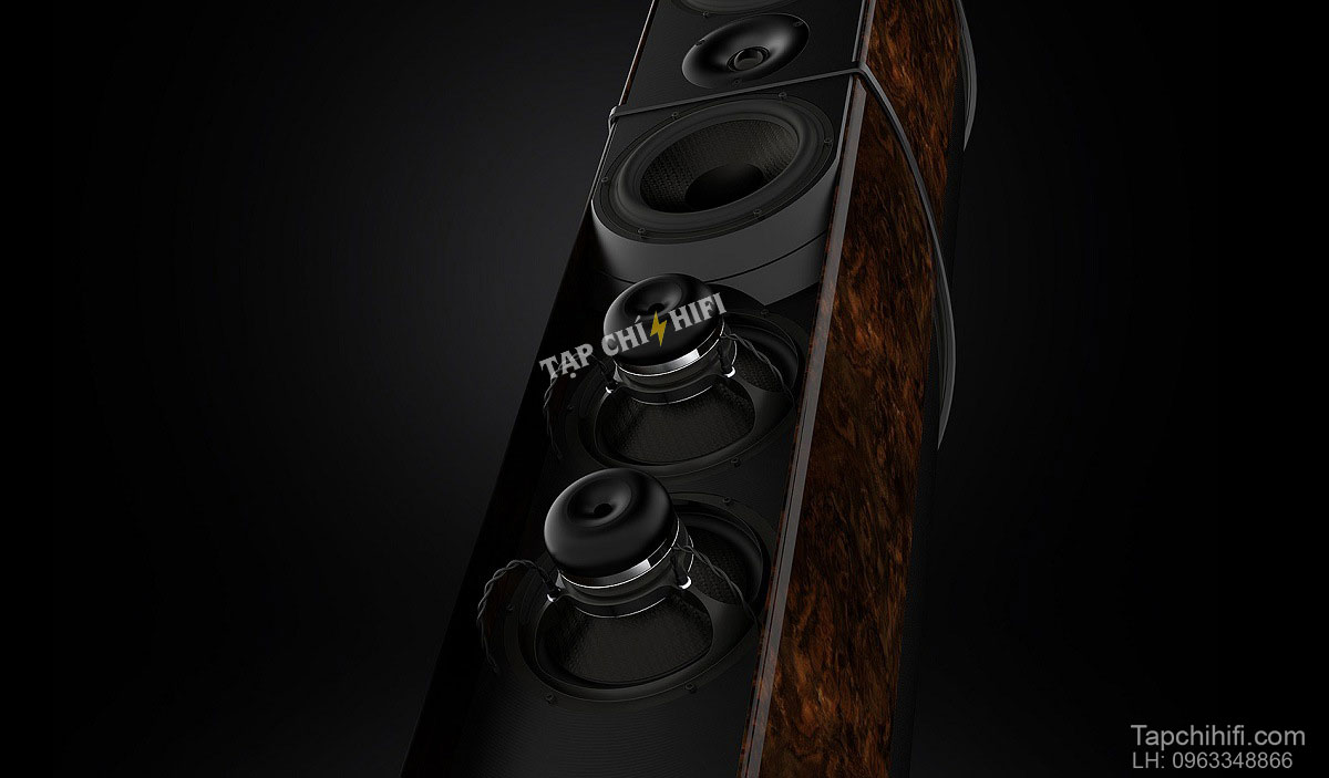 loa wilson benesch resolution cau tao