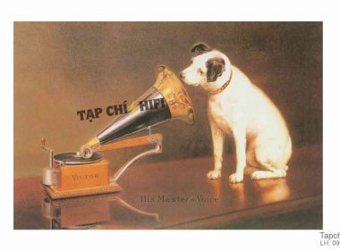 his master voice hay