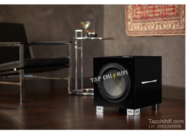 loa rel carbon limited dai dien