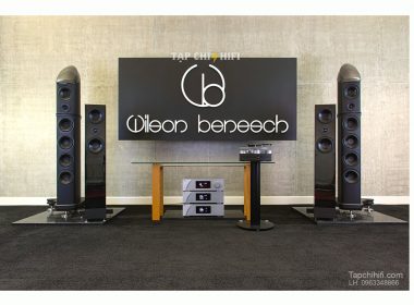 wilson benesch dai dien