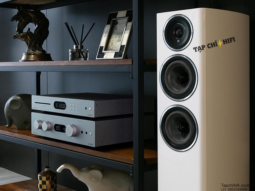 Wharfedale Diamond 11 3 can