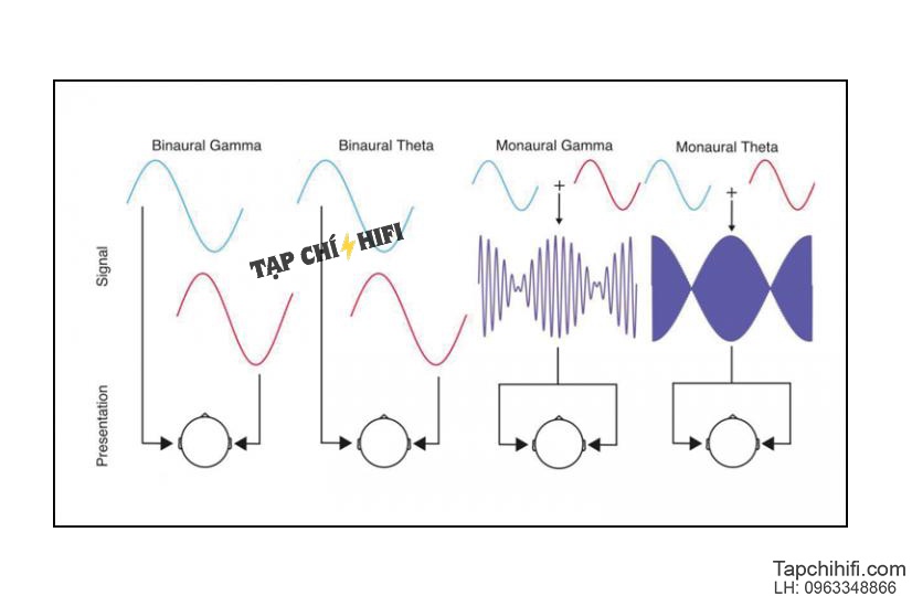 Binaural 1 a