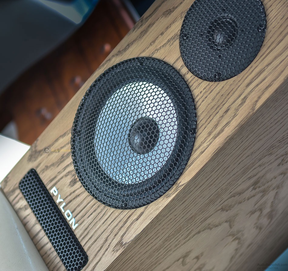 loa Pylon Ruby Monitor can